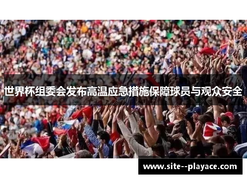 世界杯组委会发布高温应急措施保障球员与观众安全